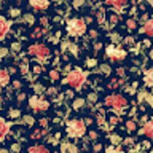 Meet your Posher, Ale